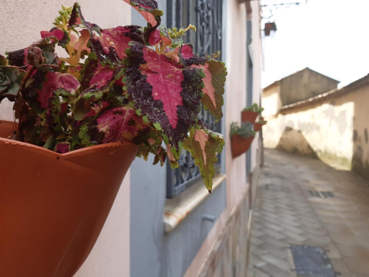 Appartamento per Turisti Filoxenia Santa Severina Esterno foto